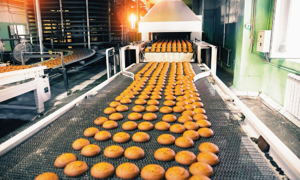 Conveyors in Food Processing: Ensuring Safety and Quality - Texas Belting and Supply