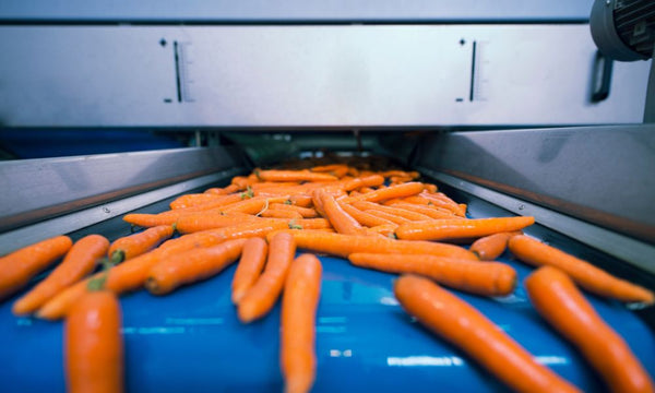How Conveyor Belts Are Shaping the Food Industry - Texas Belting and Supply