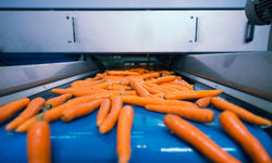 How Conveyor Belts Are Shaping the Food Industry