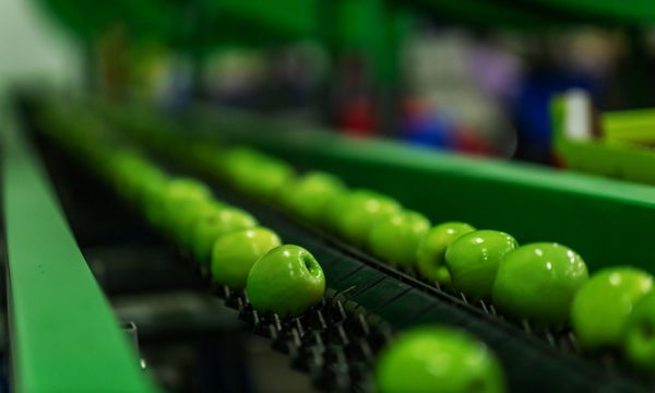 8 Important Features of Food-Grade Belting - Texas Belting and Supply