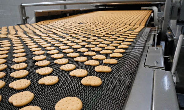 5 Signs It’s Time To Replace Your Conveyor Belts - Texas Belting and Supply