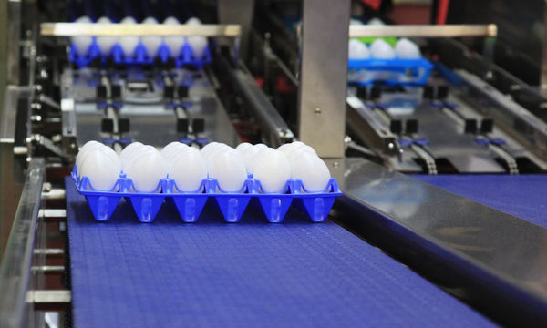 A Complete Guide to Conveyor Belt Materials - Texas Belting and Supply