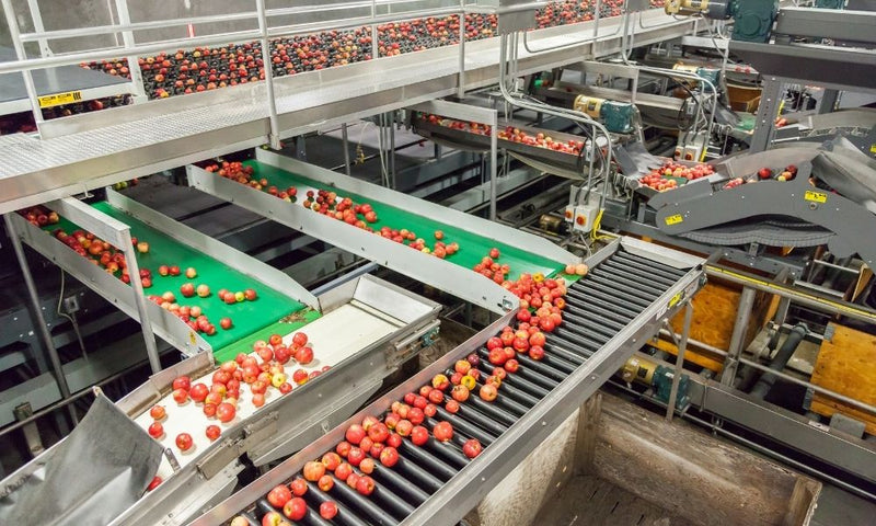 How Is a Conveyor Belt Approved by the FDA?