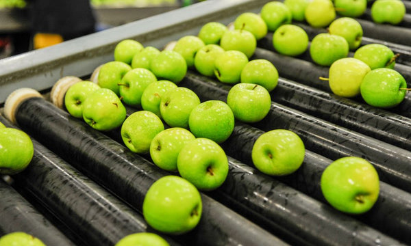 Cleaning and Maintaining Food-Grade Conveyor Belts - Texas Belting and Supply