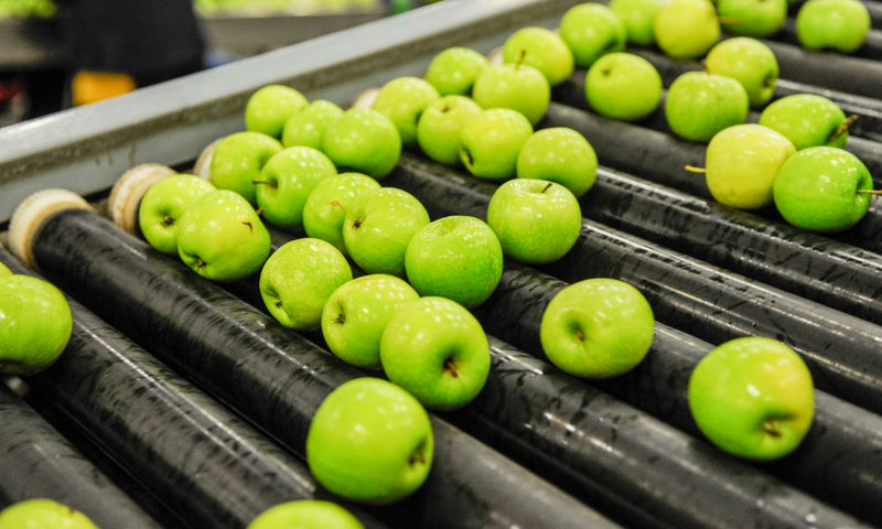 Cleaning and Maintaining Food-Grade Conveyor Belts
