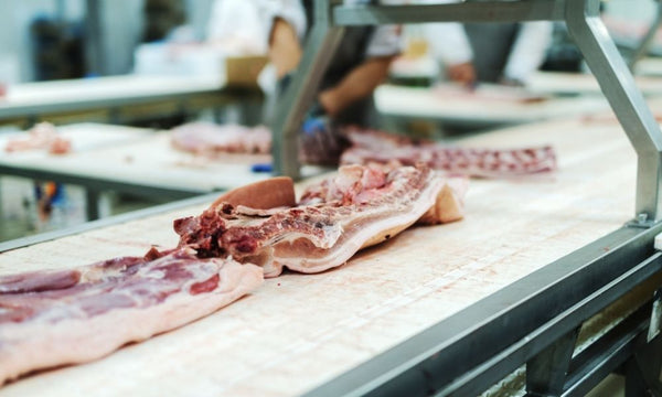 The 3 Best Materials for Food Handling Conveyor Belts - Texas Belting and Supply