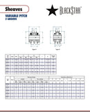 BlackStar 2VP71 3/4 TYPE 5 Spec Sheet