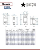 BlackStar 4-3V315SH Spec Sheet