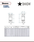 BlackStar 8-3V650SK STL Spec Sheet