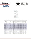 BlackStar 10-5V2800M Spec Sheet