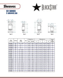 BlackStar 2-5V750SK Spec Sheet