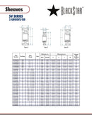 BlackStar 3-5V670SK Spec Sheet