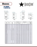 BlackStar 4-5V465SD STL Spec Sheet