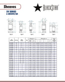 BlackStar 6-5V490SD STL Spec Sheet