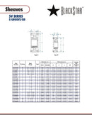 BlackStar 8-5V975F Spec Sheet