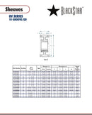 BlackStar 10-8V5300P Spec Sheet