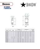 BlackStar 4-8V1700F Spec Sheet