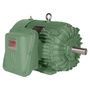 IXPEWWE1-18-143T 1 HP TEXP Explosion Proof Motor 143T frame