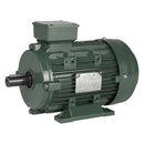 IEC4-18-100 4 HP TEFC Aluminum Frame Motor 100L frame