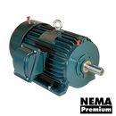 LAIE450-36-L449TS 450 HP TEFC Louis Allis, IEEE 841 Motor L449TS frame