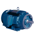 LAM30-36-286TSC 30 HP TEFC Louis Allis, Premium Efficient Motor 286TSC frame