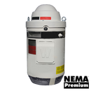 WPEVHS125-18-460-405TP-16.5 125 HP Weather Protected (WPI) Vertical Hollow Shaft Motor 405TP frame