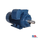 PE505UZ-300-6C 300 HP TEFC Crusher Duty Motor 505UZ frame