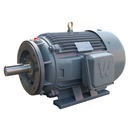 PEWWE25-18-284TC-F2 25 HP TEFC Premium Efficient Motor 284TC frame