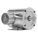SSPE3-18-145TC 3 HP TEFC Premium Efficient Motor 145TC frame