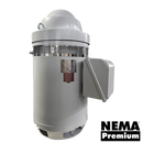 VHS150-18-460-444TP-DB-16-5 150 HP Weather Protected (WPI) Vertical Hollow Shaft Motor 444TP frame