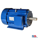 APE184T-5-2 5 HP TEFC Electric Motor 184T frame
