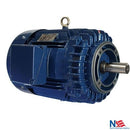 PE284TC-25-4-RB-AI 25 HP TEFC Severe Duty Cast Iron Motor 284TC frame