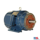PE256TC-20-2 20 HP TEFC Severe Duty Cast Iron Motor 256TC frame