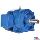 PE404TS-125-2-ODP 125 HP ODP Open Drip Proof Motor 404TS frame