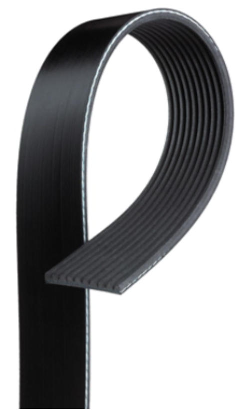 Micro V Rib 10PK1635 Automotive Micro-V Belt | PK 10-Rib | TBS