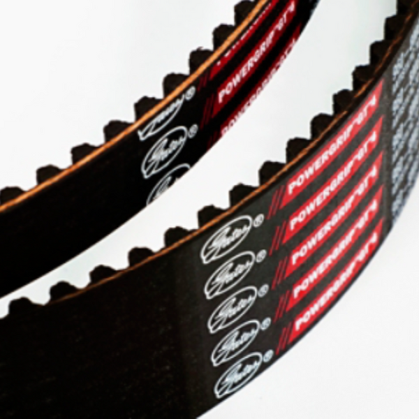 Gates 600-8MGT-20 Timing Belt | 8MGT 75T | TBS